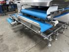 2013 Pizzamatic Waterfall Topping Applicator With Return Conveyors